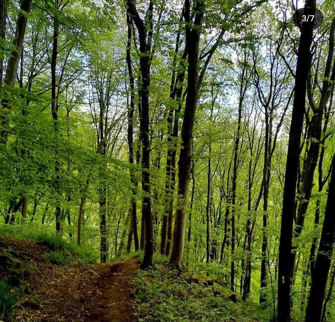 Escale Chambre D'Hotes Au Coeur Du Vieux Profondeville Entre Namur Et Dinant Zewnętrze zdjęcie