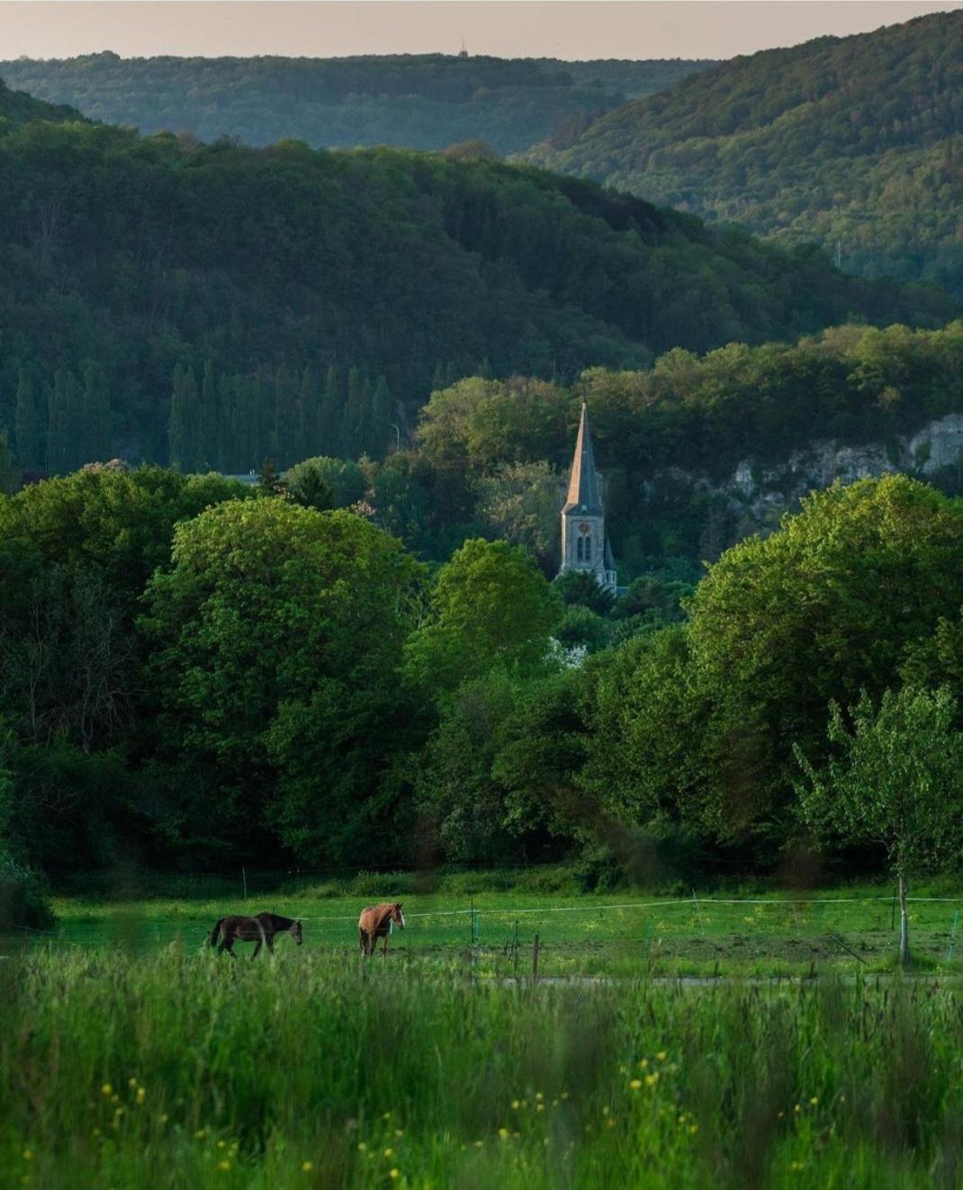 Escale Chambre D'Hotes Au Coeur Du Vieux Profondeville Entre Namur Et Dinant Zewnętrze zdjęcie